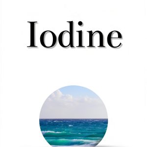 Endocrine System Guide for Pregnancy and Childbirth-0