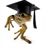 Time Management Mastery: A Study Guide for Kindle-0