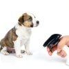 Pet Stain & Odor Remover Refill by Eco-88 Eco-friendly Toxic-Free-2