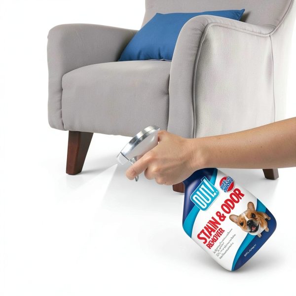OUT! Pet Stain & Odor Remover, 32 oz, USA Made-2