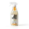 Cat Urine Stain Remover by Becles ION Formula 2‑for‑1 32oz Bottle-3